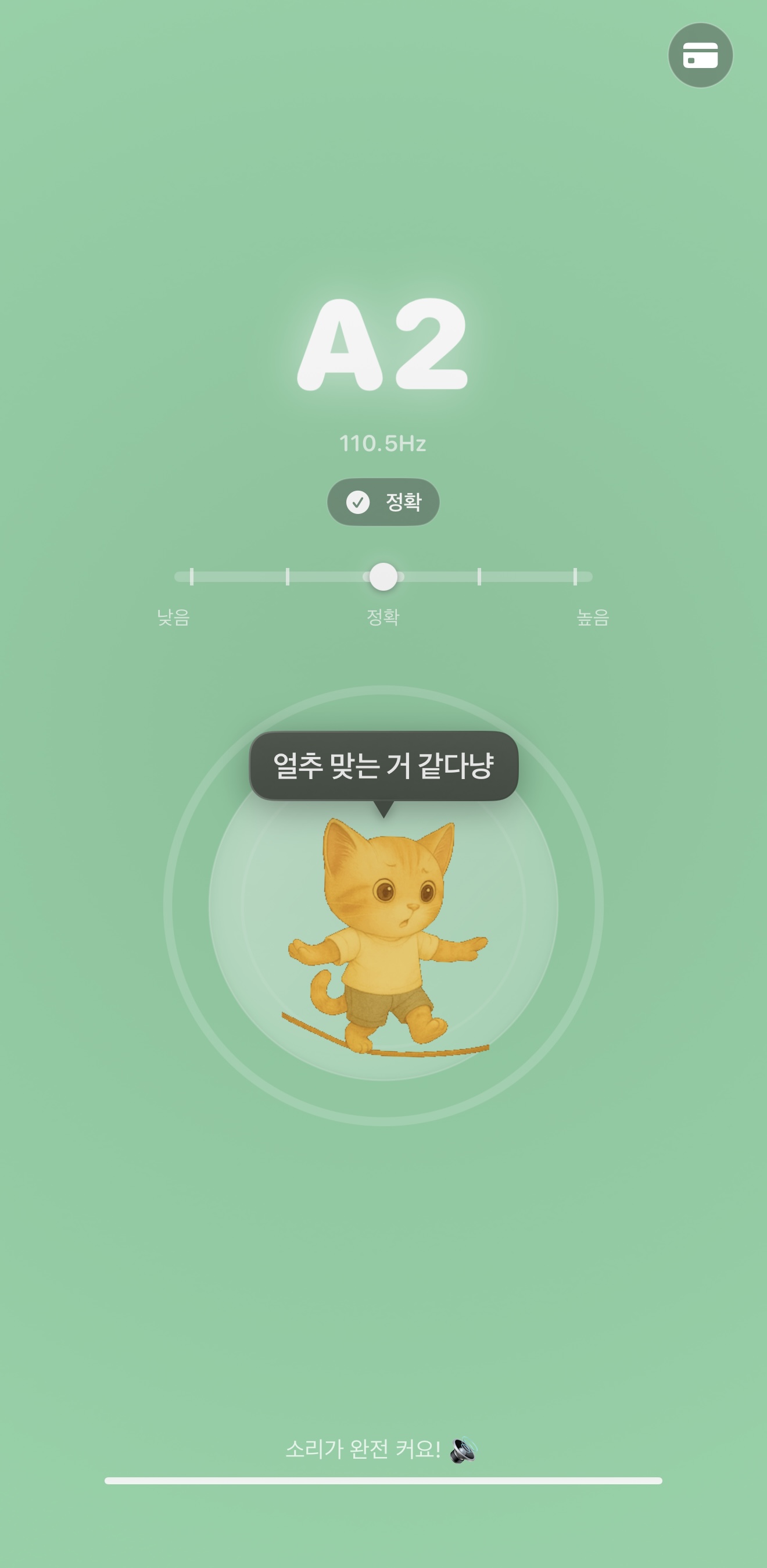 냥냥 튜너의 음정 세부 화면